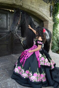 Vestido de XV Mexicano de Ragazza de segunda mano - GoTrendier