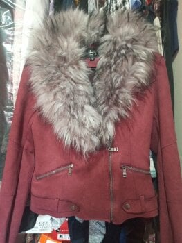 chamarras en cuidado con el perro