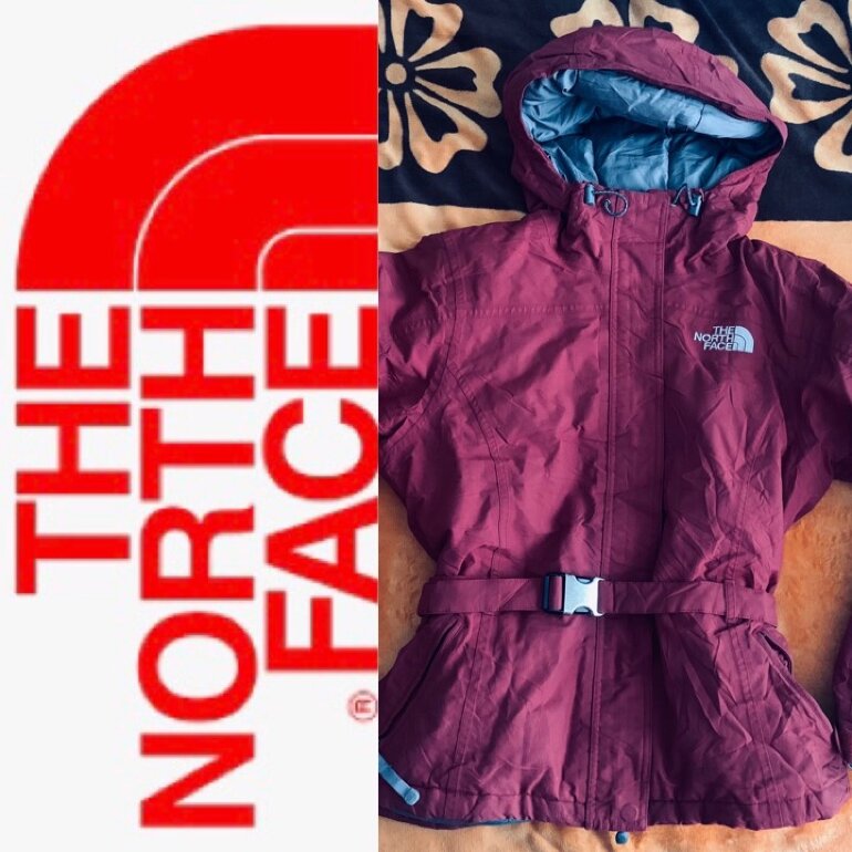 chamarras pluma de ganso north face