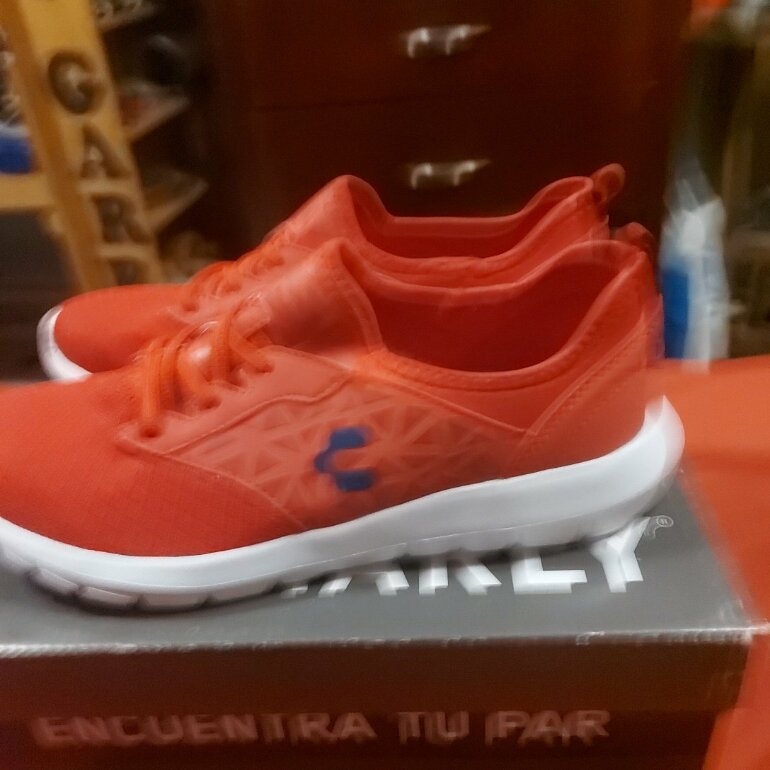 Tenis Charly rojos 26.6MX de segunda mano - GoTrendier