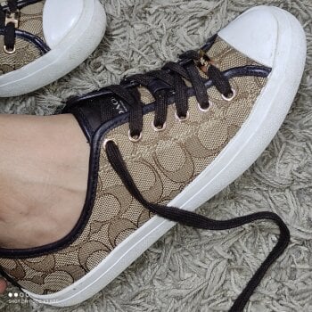 Tenis casuales Coach café de segunda mano - GoTrendier