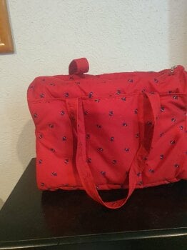 Bolsas Ferrioni - GoTrendier