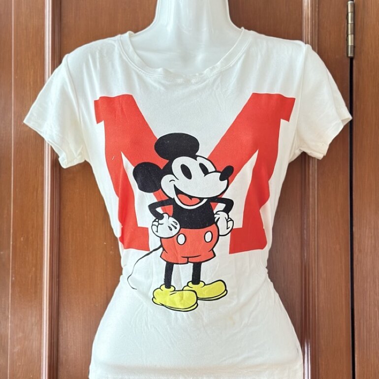 blusa tipo playera