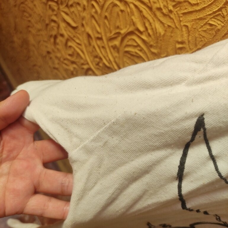 Playera 👕 Tinkerbell zara oversized de segunda mano GoTrendier