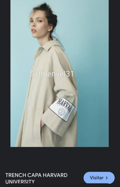 Gabardina Edición limitada Zara HARVARD de segunda mano GoTrendier