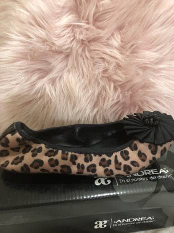 Tenis Animal Print Andrea Top Sellers, 55% OFF | www.autoescolaurgell.com