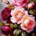 rosalaurelj