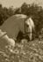 alejandr_fpthg