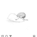 kumiyogac