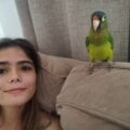 karenqjg