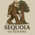 SEQUOIA_OUT