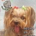 Avatar mledesma21 GoTrendier