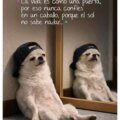 Avatar todobonito292 GoTrendier