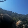 Avatar aeajvam GoTrendier
