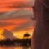 clara_ross_cra