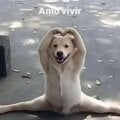 Avatar naelilos GoTrendier