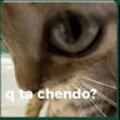 alfredo2524